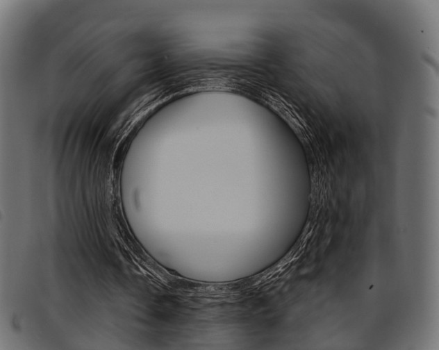 X0000094950338200711291110