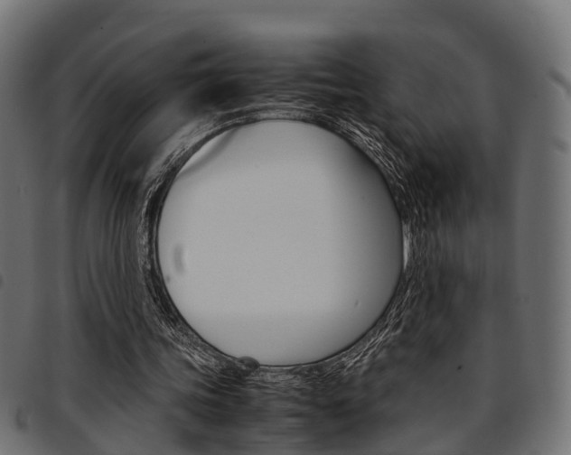 X0000094950339200711291110