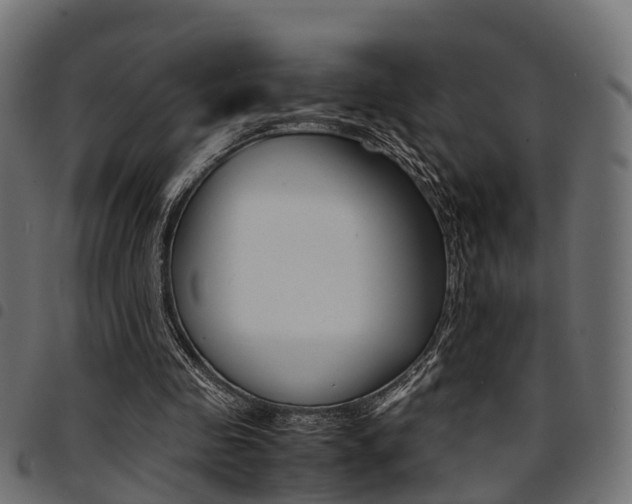 X0000094950341200711291110