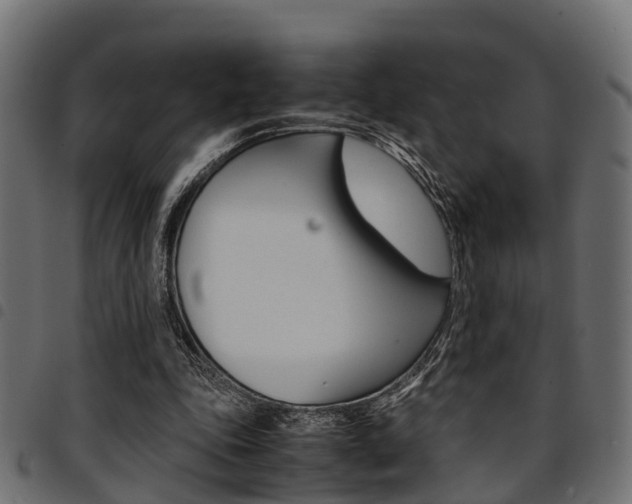 X0000094950343200711291110
