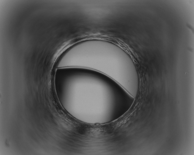 X0000094950344200711291110