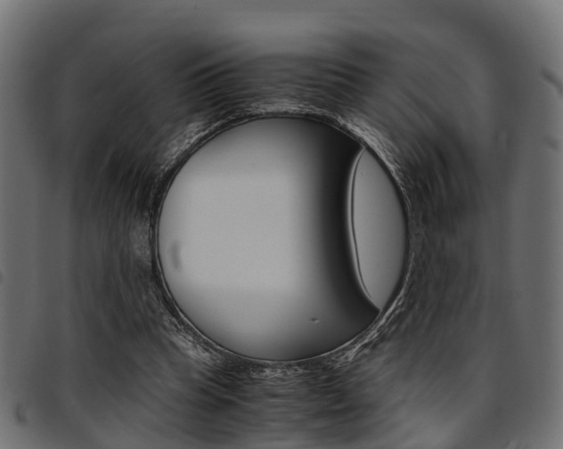 X0000094950345200711291110
