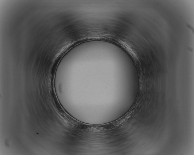 X0000094950346200711291110