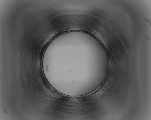 X0000094950347200711291110
