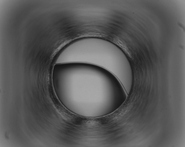 X0000094950348200711291110
