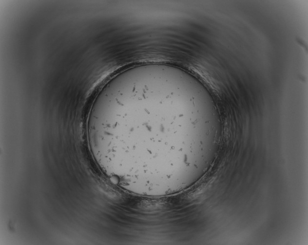 X0000094950351200711291110
