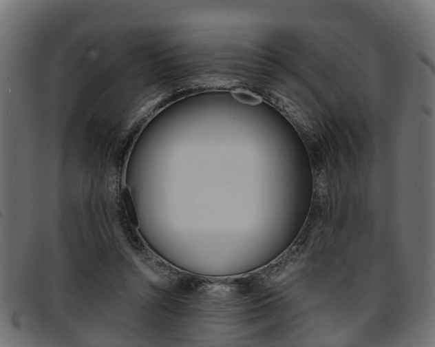 X0000094950352200711291110