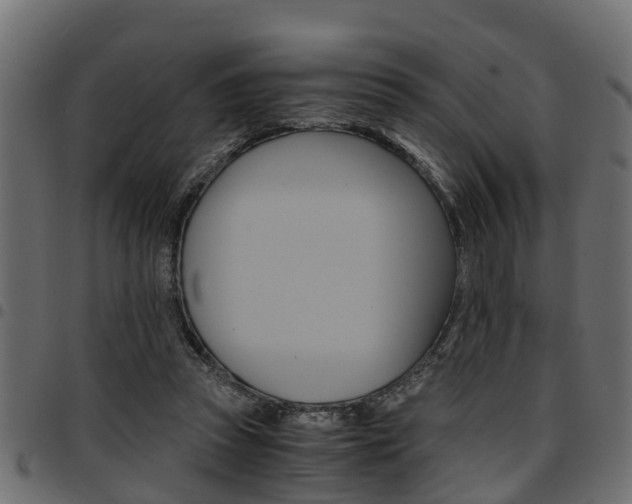 X0000094950353200711291110