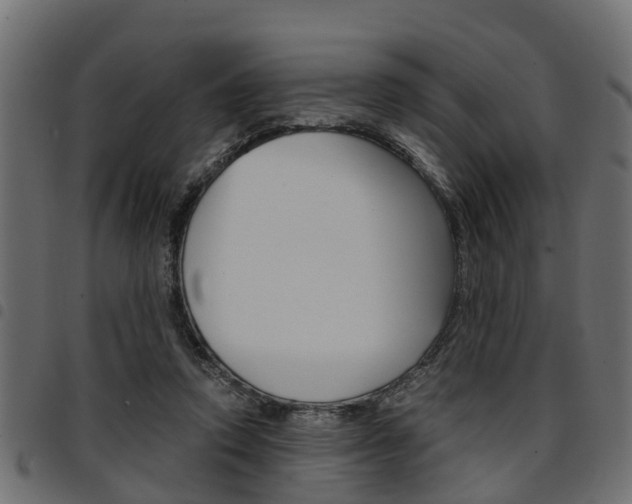 X0000094950354200711291110