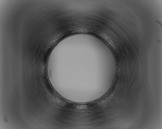 X0000094950355200711291110