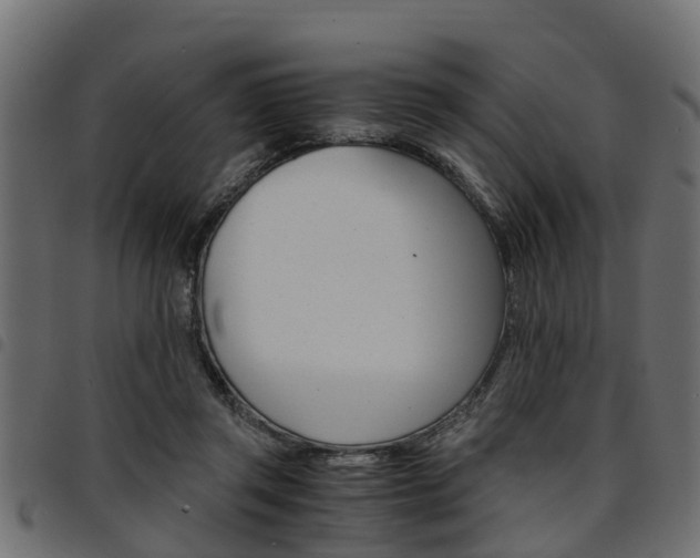 X0000094950357200711291110