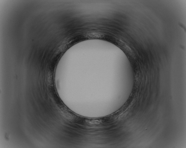 X0000094950359200711291110