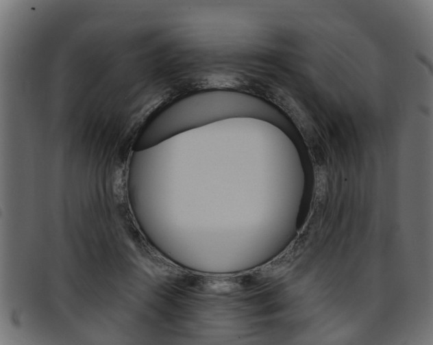 X0000094950360200711291110