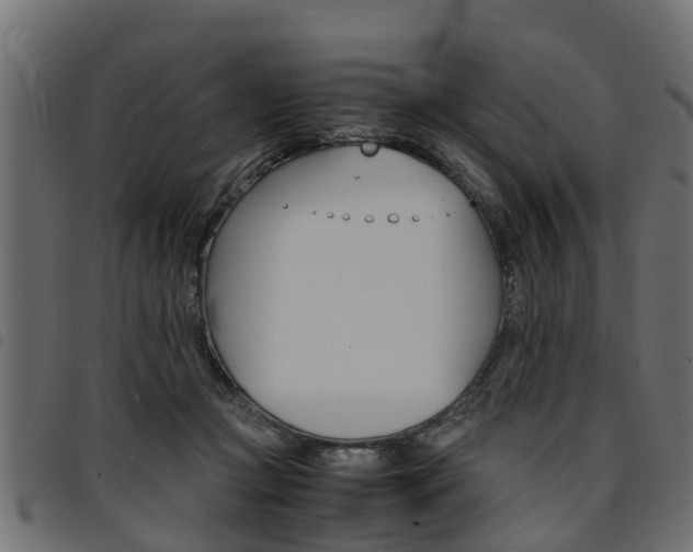 X0000094950361200711291110