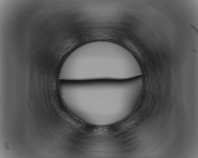 X0000094950362200711291110