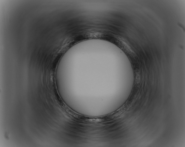 X0000094950363200711291110