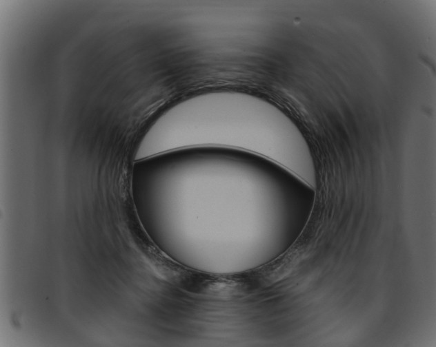 X0000094950364200711291110