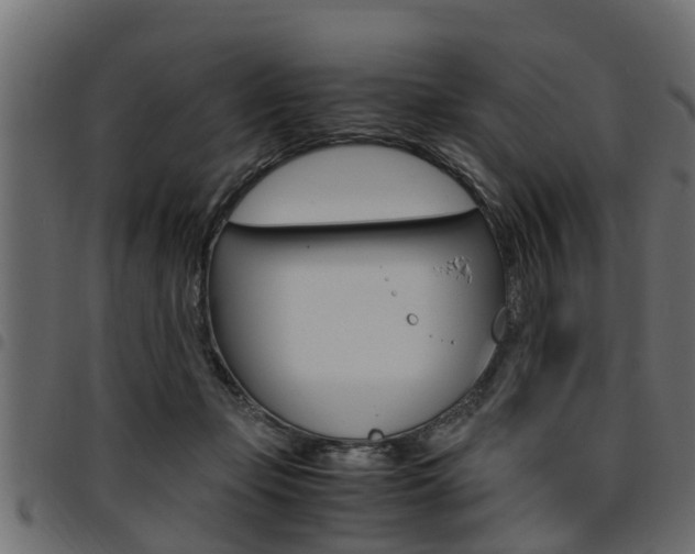 X0000094950365200711291110