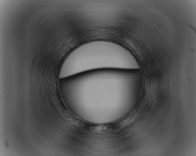 X0000094950366200711291111