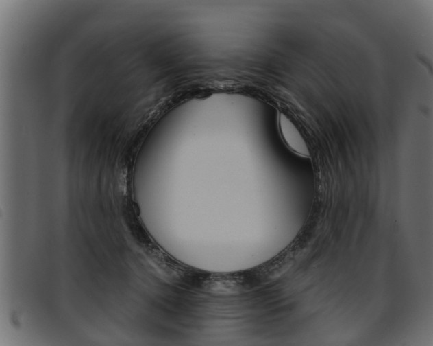 X0000094950368200711291111