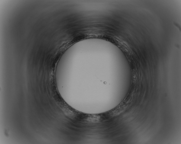 X0000094950369200711291111