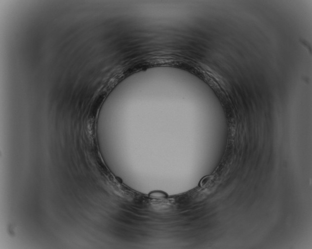 X0000094950373200711291111