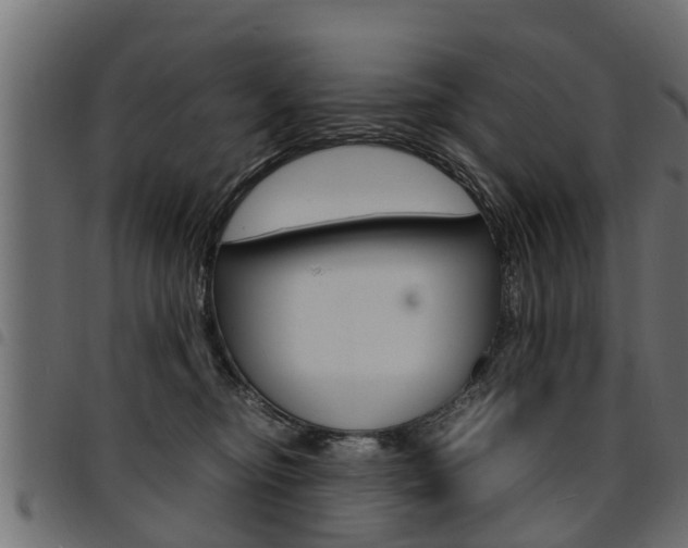 X0000094950374200711291111