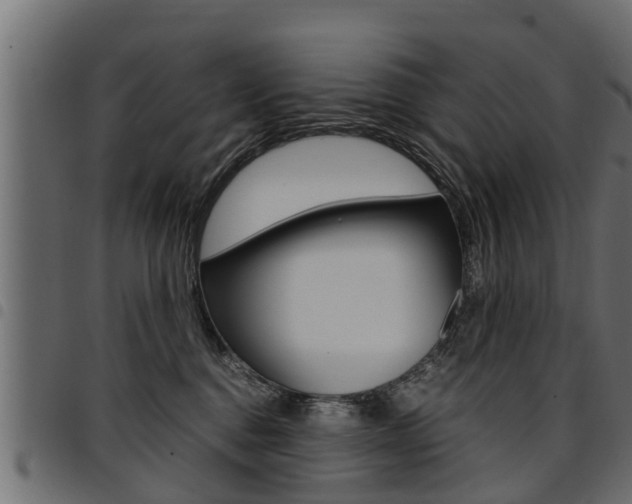 X0000094950376200711291111