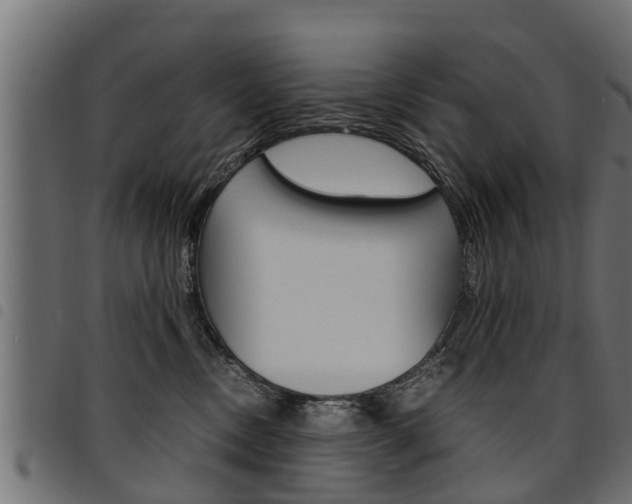 X0000094950378200711291111