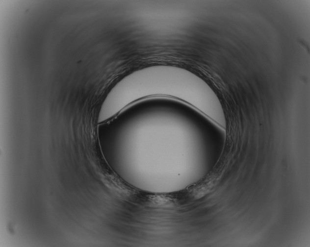 X0000094950380200711291111