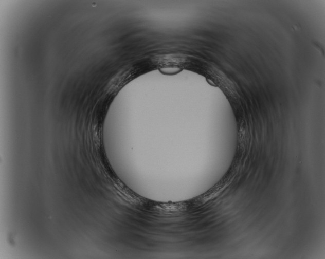 X0000094950381200711291111