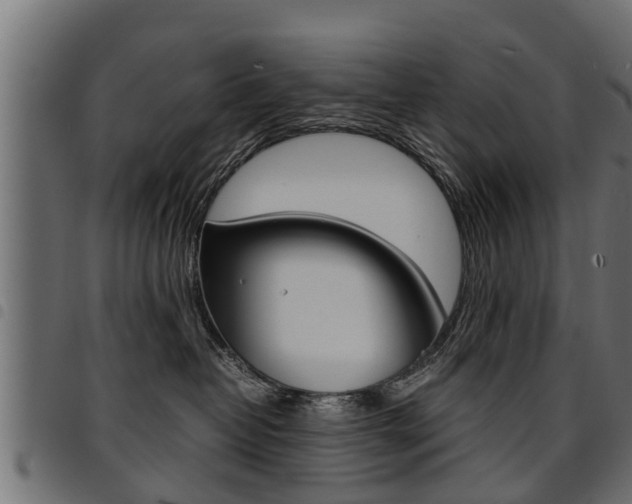 X0000094950382200711291111
