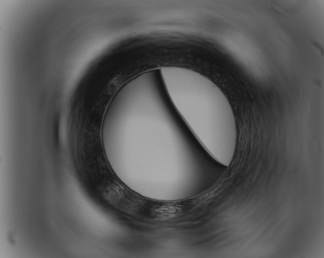 X0000094950383200711291111