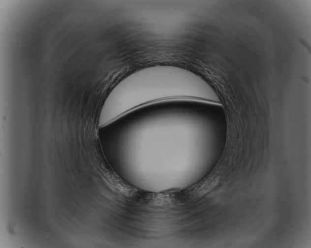 X0000094950384200711291111