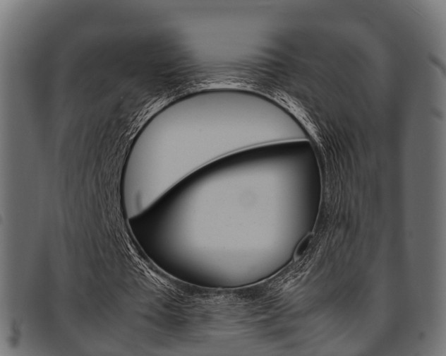 X0000094950385200711291110