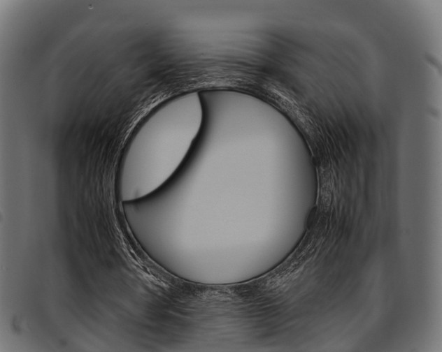 X0000094950386200711291110
