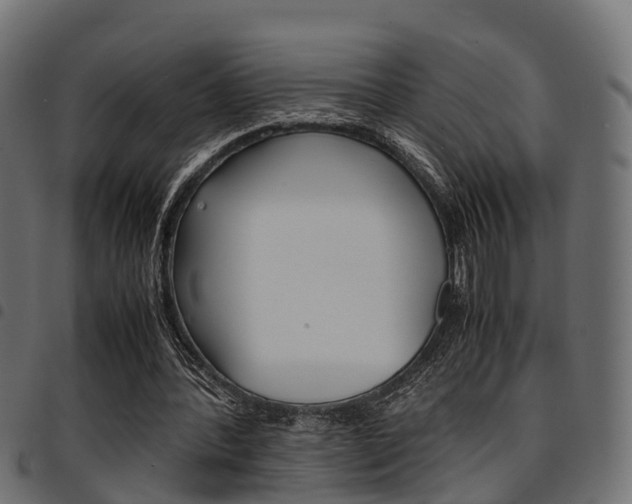 X0000094950388200711291110