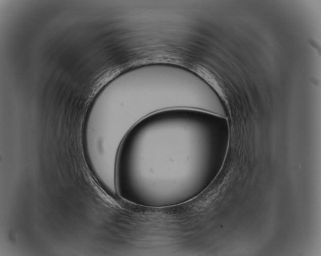 X0000094950389200711291110