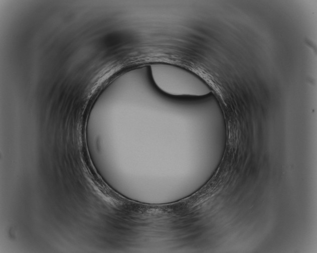 X0000094950390200711291110