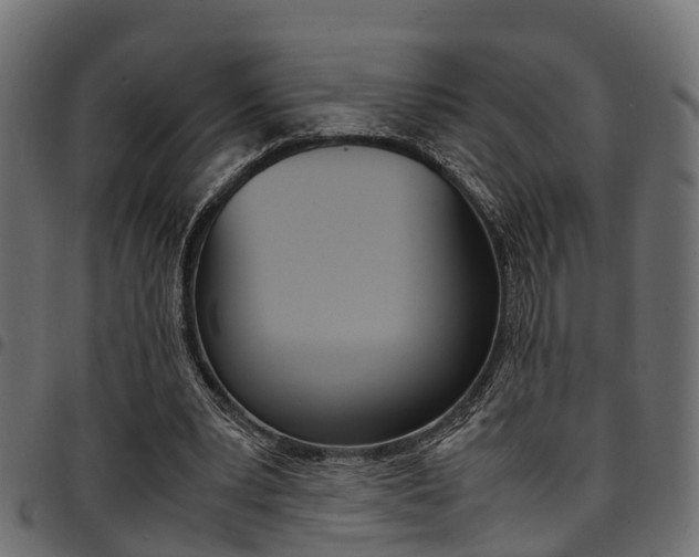 X0000094950391200711291110