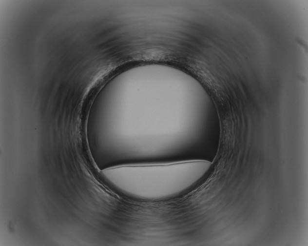 X0000094950392200711291110