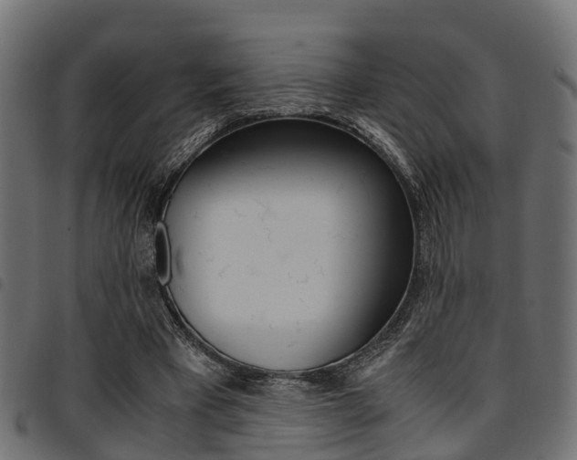 X0000094950393200711291110