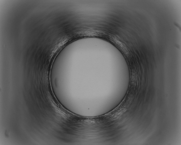 X0000094950394200711291110