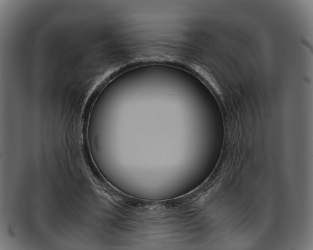 X0000094950395200711291110