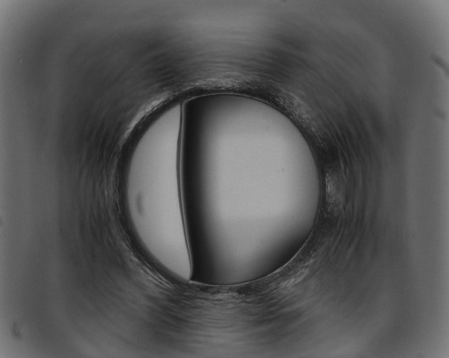 X0000094950396200711291110