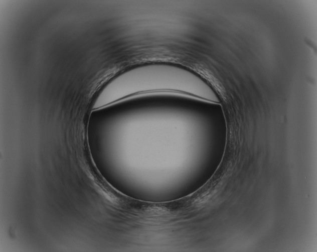 X0000094950397200711291110
