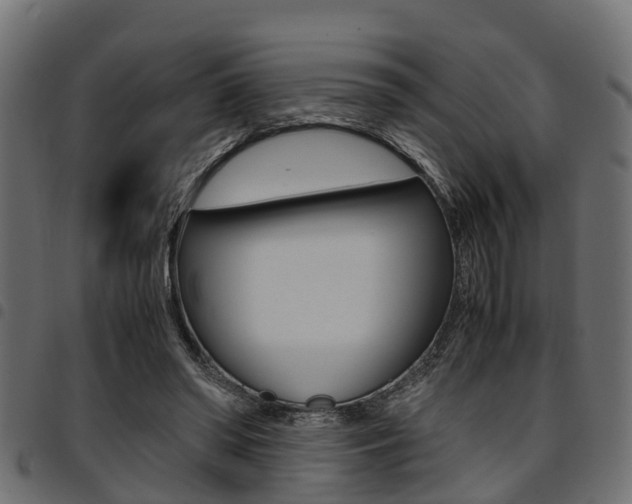 X0000094950398200711291110