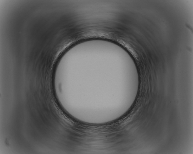X0000094950399200711291110