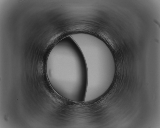 X0000094950400200711291110