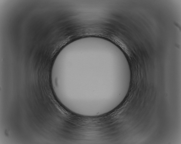 X0000094950401200711291110